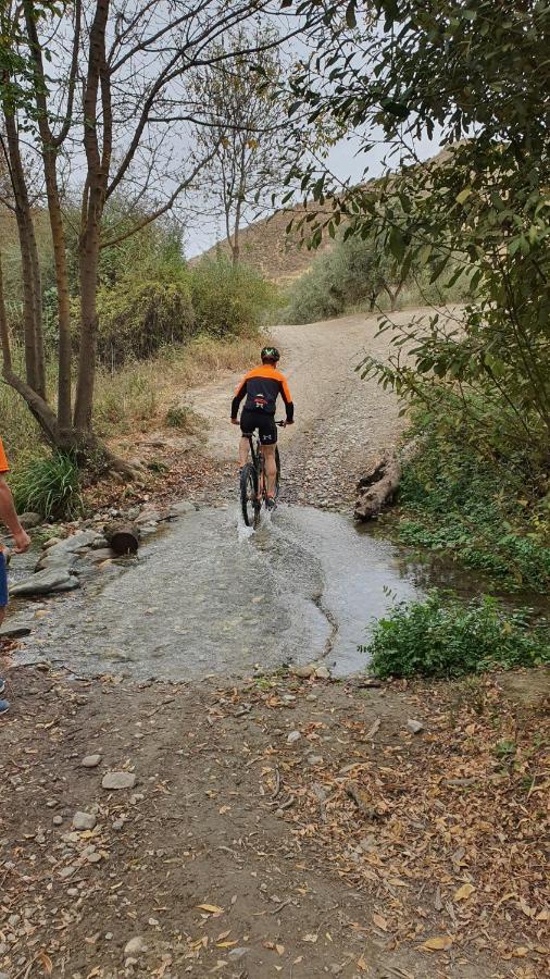 La Colina Ladyblue Apto Acogedor Cerca De Sierra Nevada Y Alhambra เซเนส เด ลาเบกา ภายนอก รูปภาพ