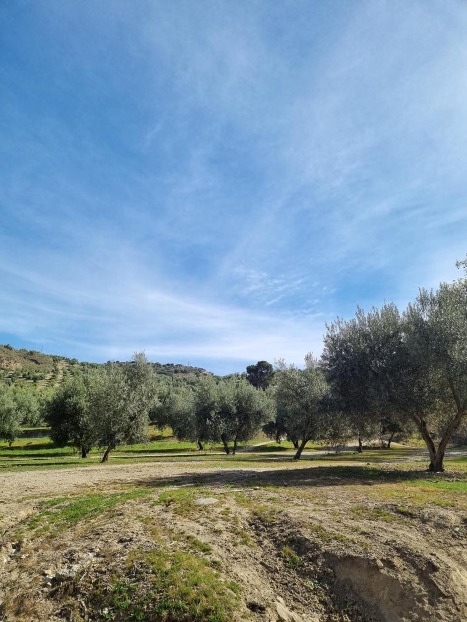 La Colina Ladyblue Apto Acogedor Cerca De Sierra Nevada Y Alhambra เซเนส เด ลาเบกา ภายนอก รูปภาพ